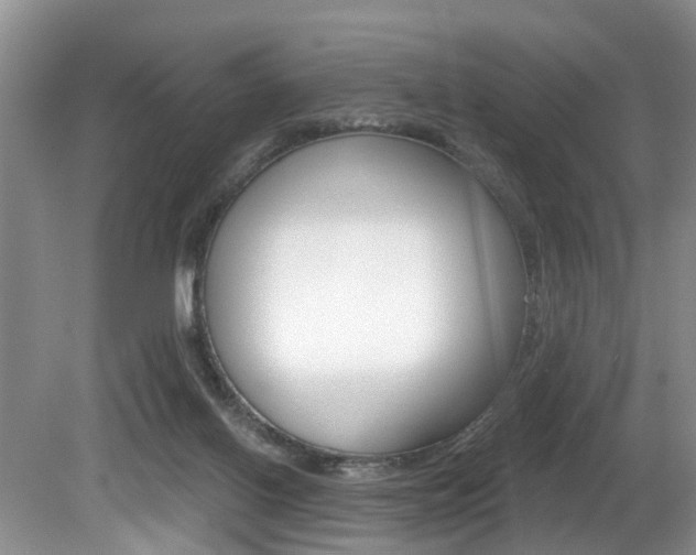 X0000080790070200612151109