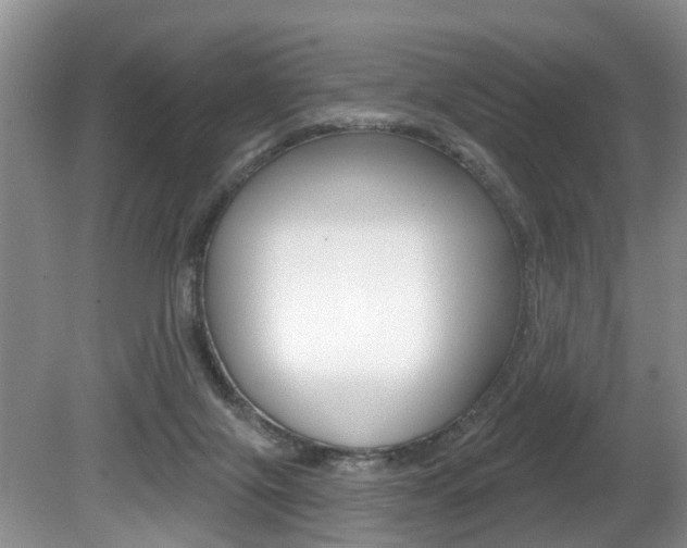 X0000080790071200612151109