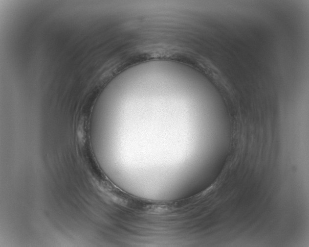 X0000080790074200612151109