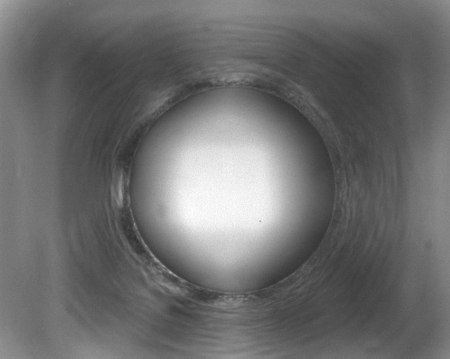 X0000080790076200612151109