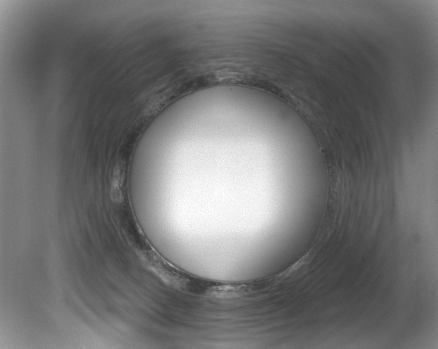 X0000080790082200612151109