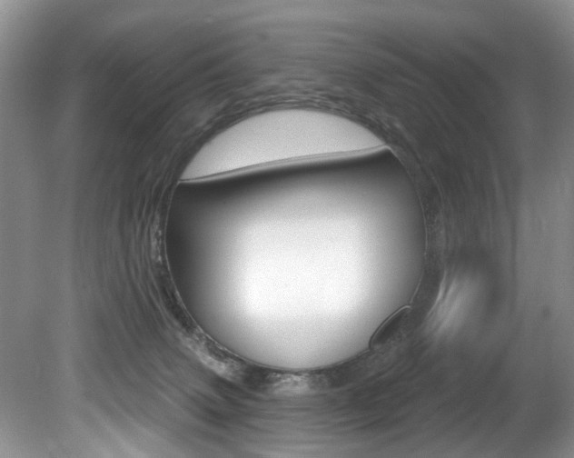 X0000080790083200612151109