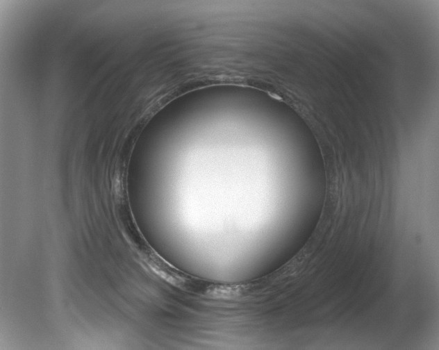 X0000080790084200612151109