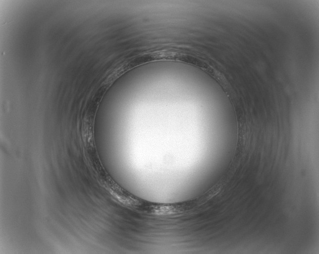 X0000080790091200612151109