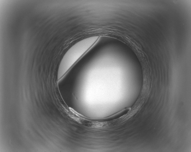X0000080790096200612151109