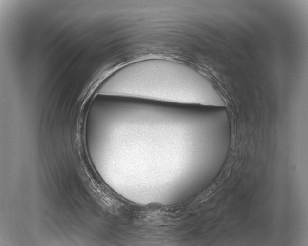 X0000080790098200612151108