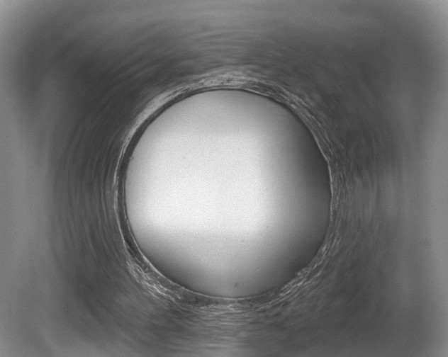 X0000080790100200612151108