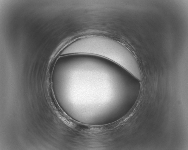 X0000080790101200612151108
