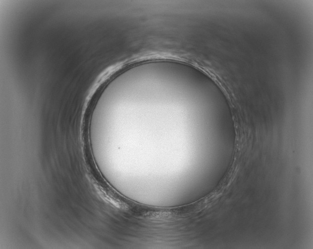 X0000080790104200612151108