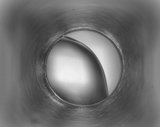 X0000080790105200612151108