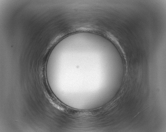 X0000080790106200612151108