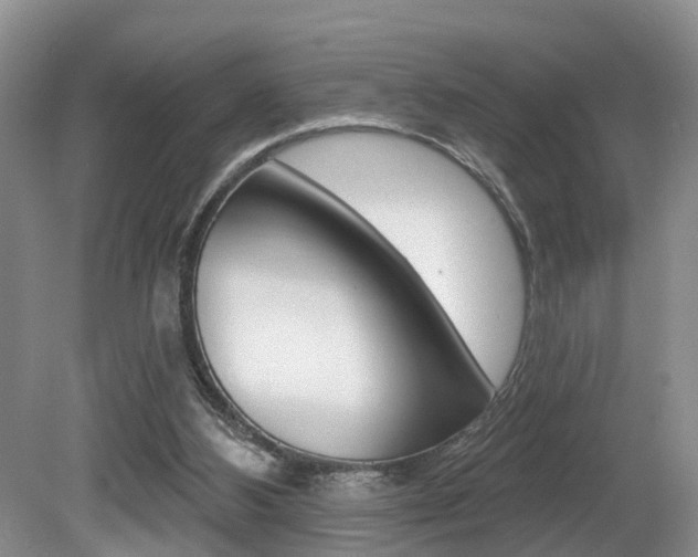 X0000080790108200612151108