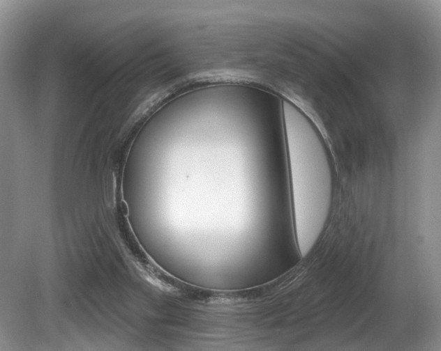 X0000080790109200612151108