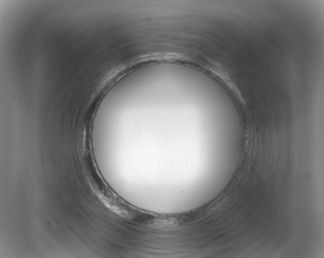 X0000080790110200612151108