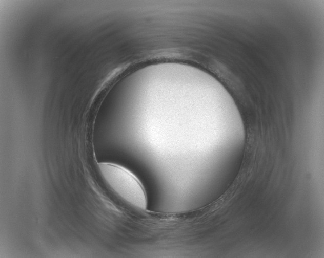 X0000080790112200612151108