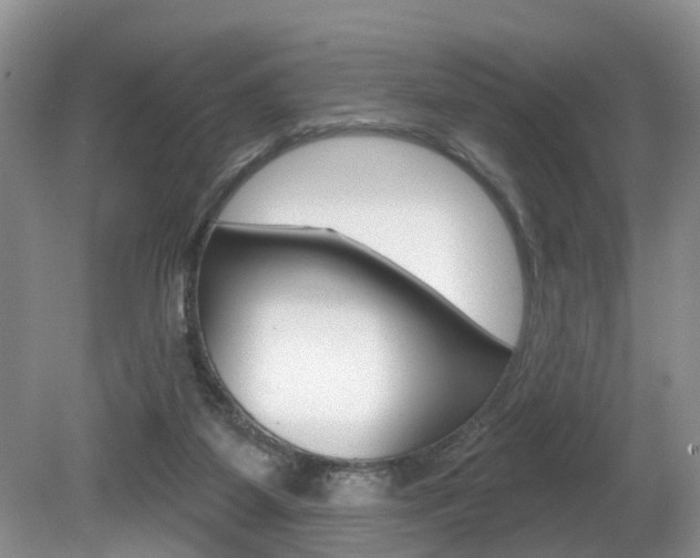 X0000080790115200612151108