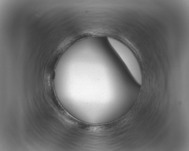 X0000080790117200612151108