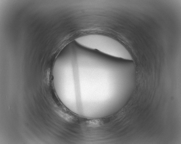 X0000080790118200612151108