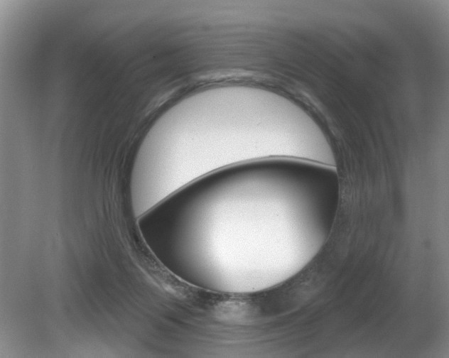 X0000080790119200612151108
