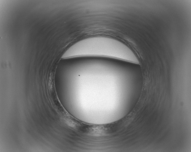 X0000080790121200612151108