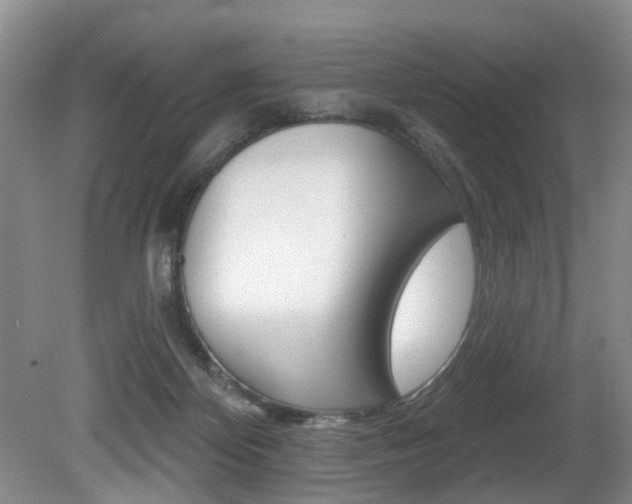 X0000080790124200612151108