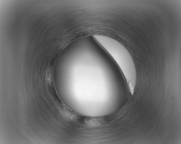 X0000080790129200612151108