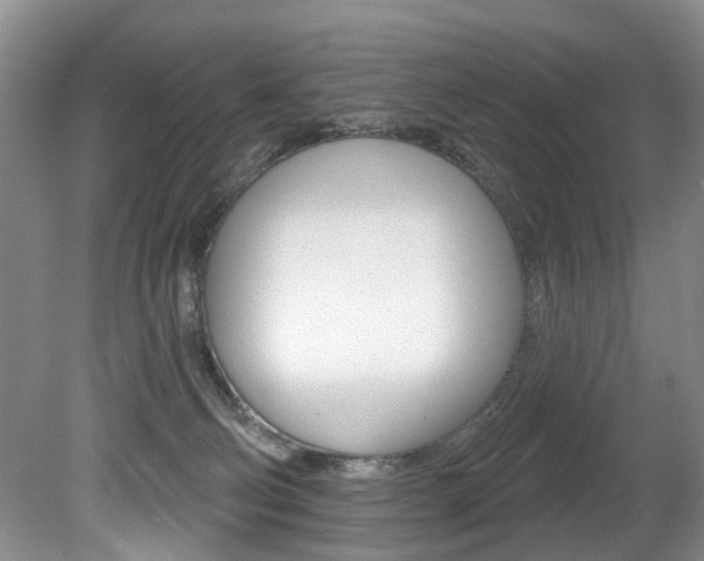 X0000080790130200612151108