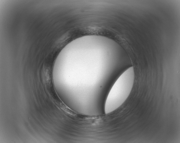 X0000080790131200612151108