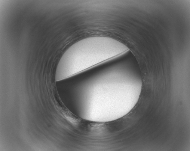 X0000080790132200612151108