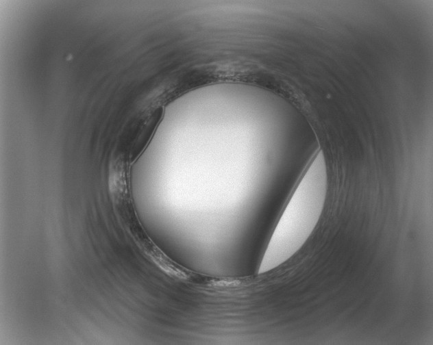 X0000080790137200612151108