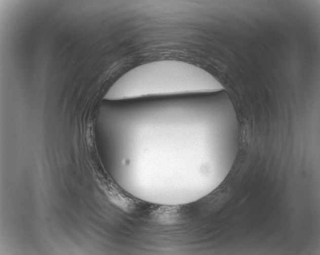 X0000080790138200612151108