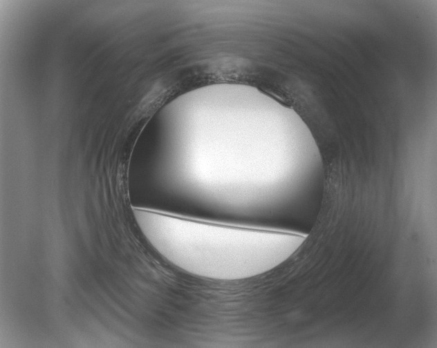 X0000080790139200612151107