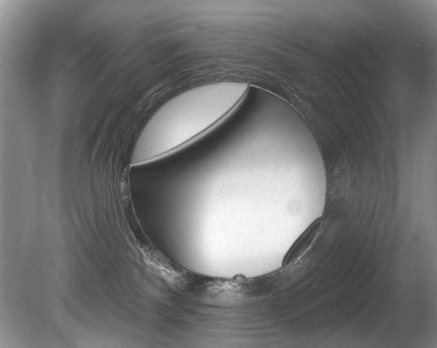 X0000080790140200612151107