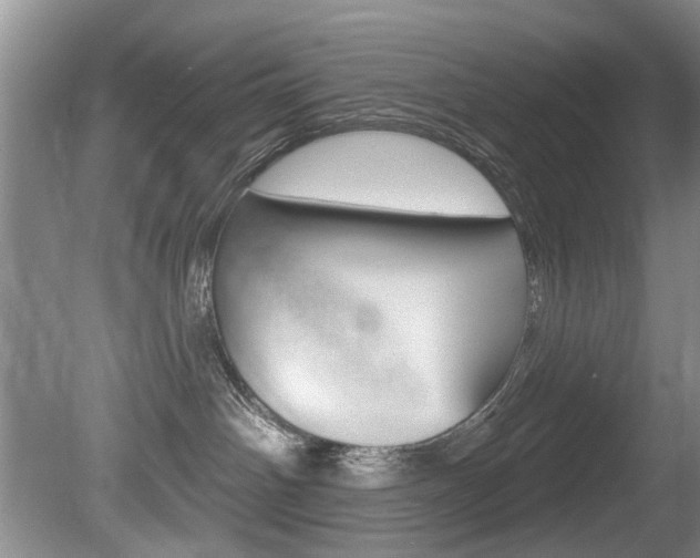 X0000080790142200612151107