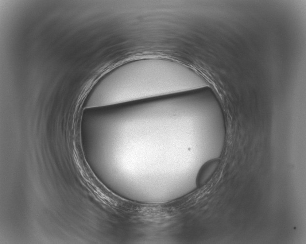 X0000080790145200612151107