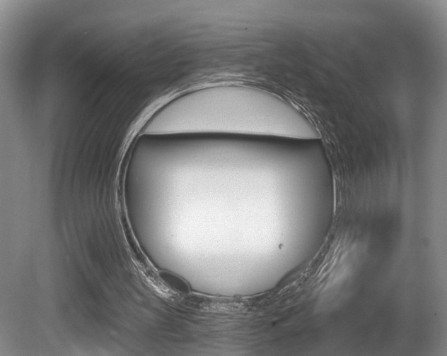 X0000080790147200612151107