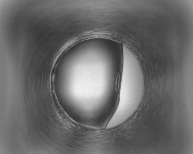 X0000080790148200612151107