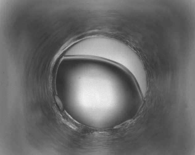 X0000080790150200612151107