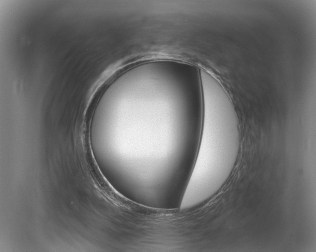 X0000080790152200612151107
