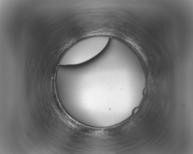 X0000080790153200612151107