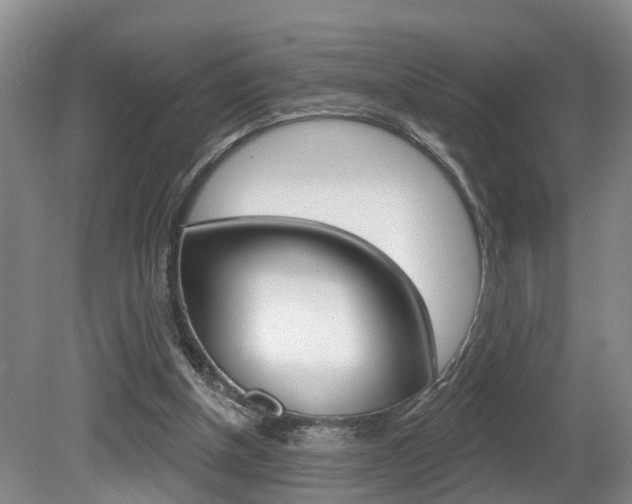 X0000080790154200612151107