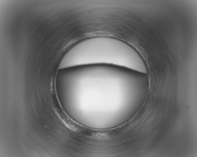 X0000080790157200612151107