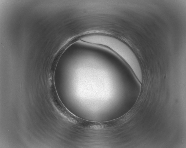 X0000080790160200612151107
