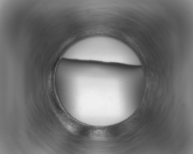 X0000080790163200612151107