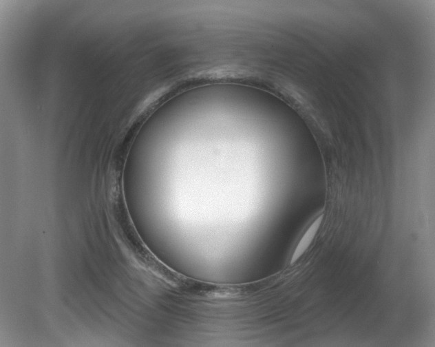 X0000080790164200612151107