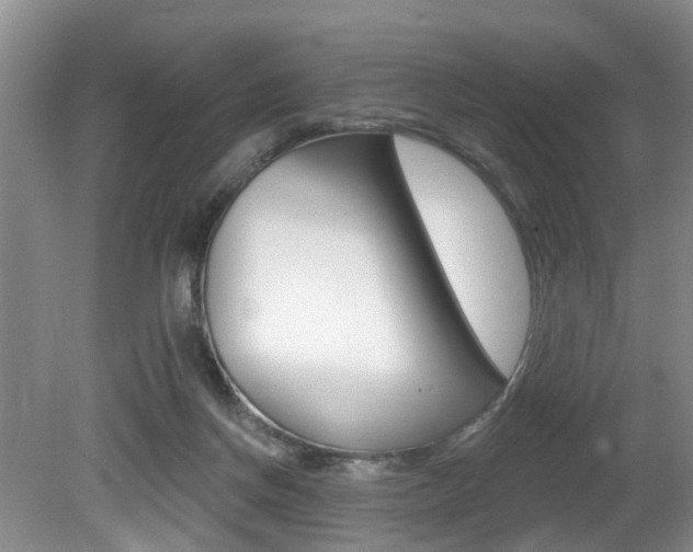 X0000080790166200612151107