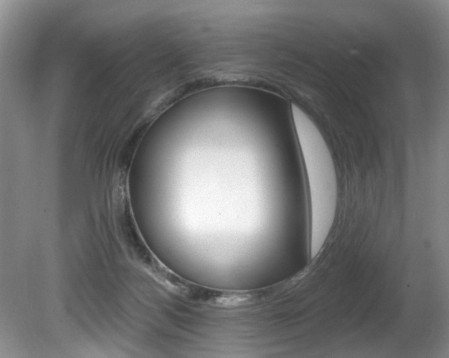 X0000080790172200612151107