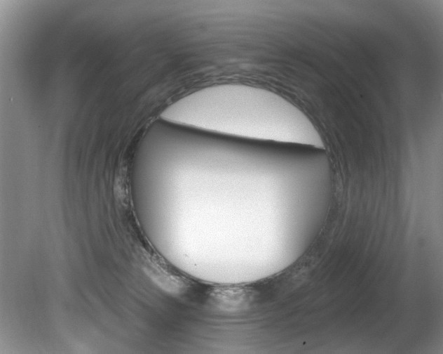 X0000080790181200612151107
