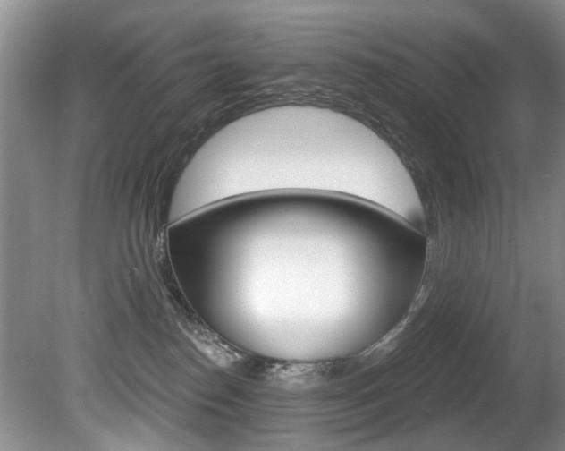 X0000080790186200612151107