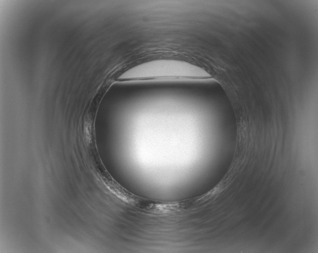 X0000080790188200612151107